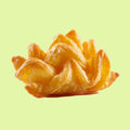 Wonton Fried