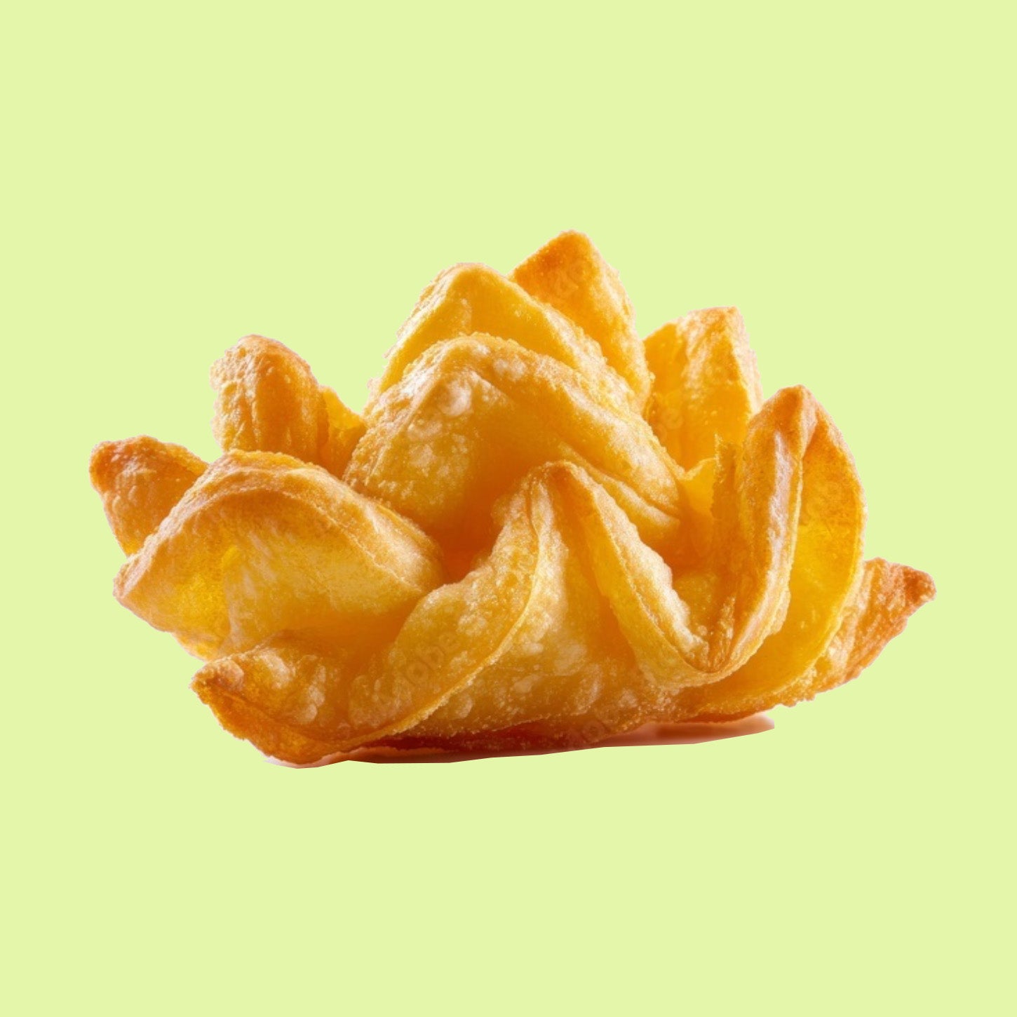 Wonton Fried
